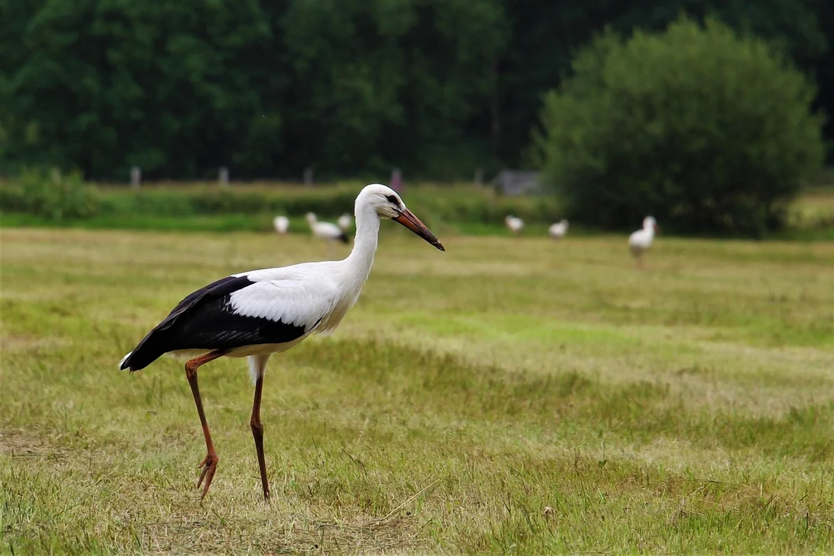 Langfristige Vorteile und strategische Planung